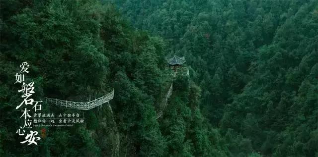 燃烧吧大脑装瓶子游戏