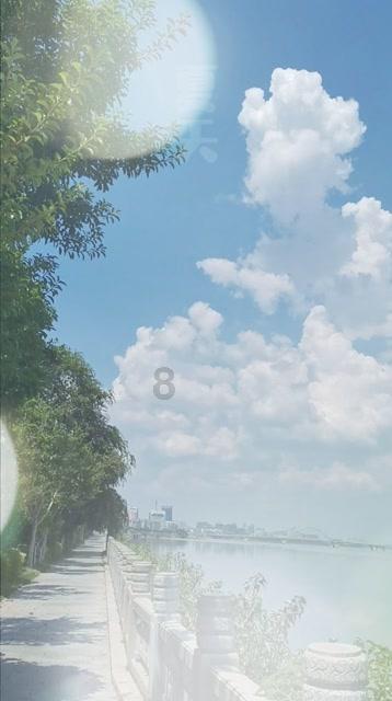 厦门“小白鹭”在新区研学